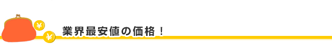 業界最安値の価格!